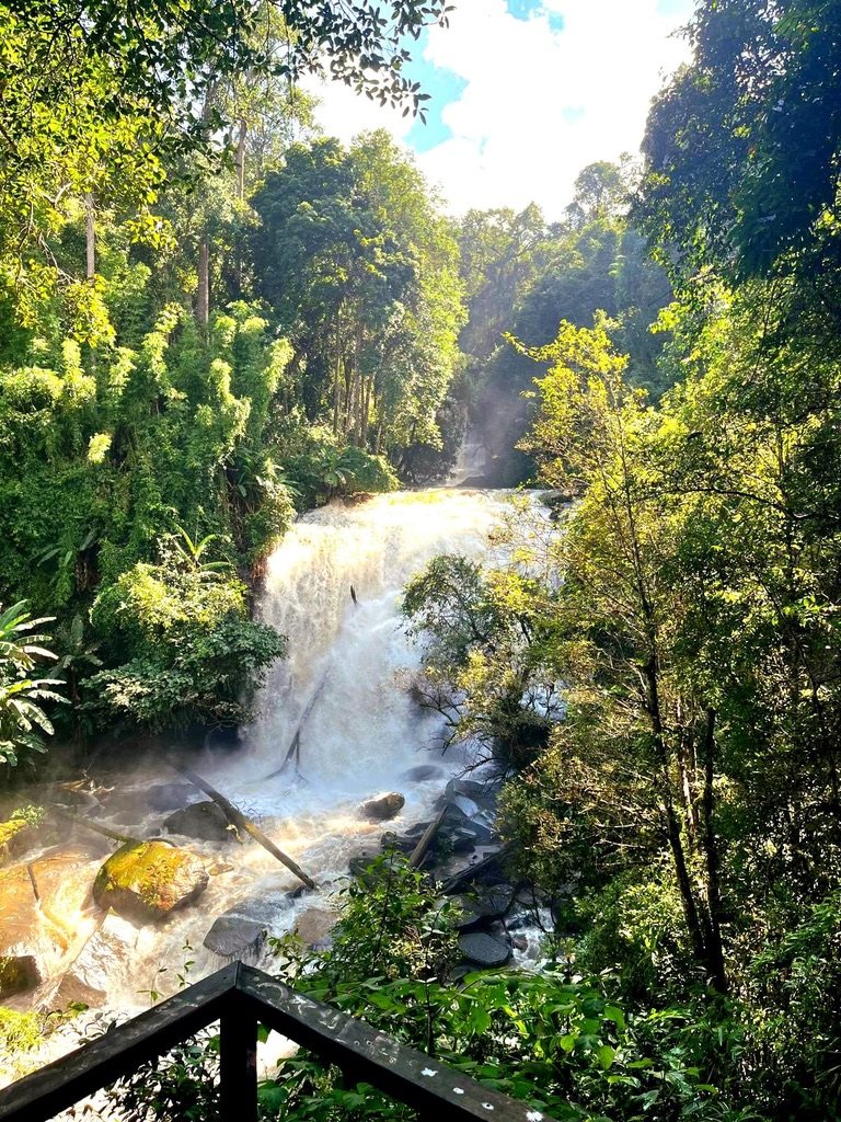 Waterfall cascading through green forest
